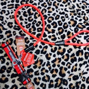 Arcadia trail waterproof high visibility neoprene dog collar and leash